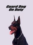 pic for guard dog